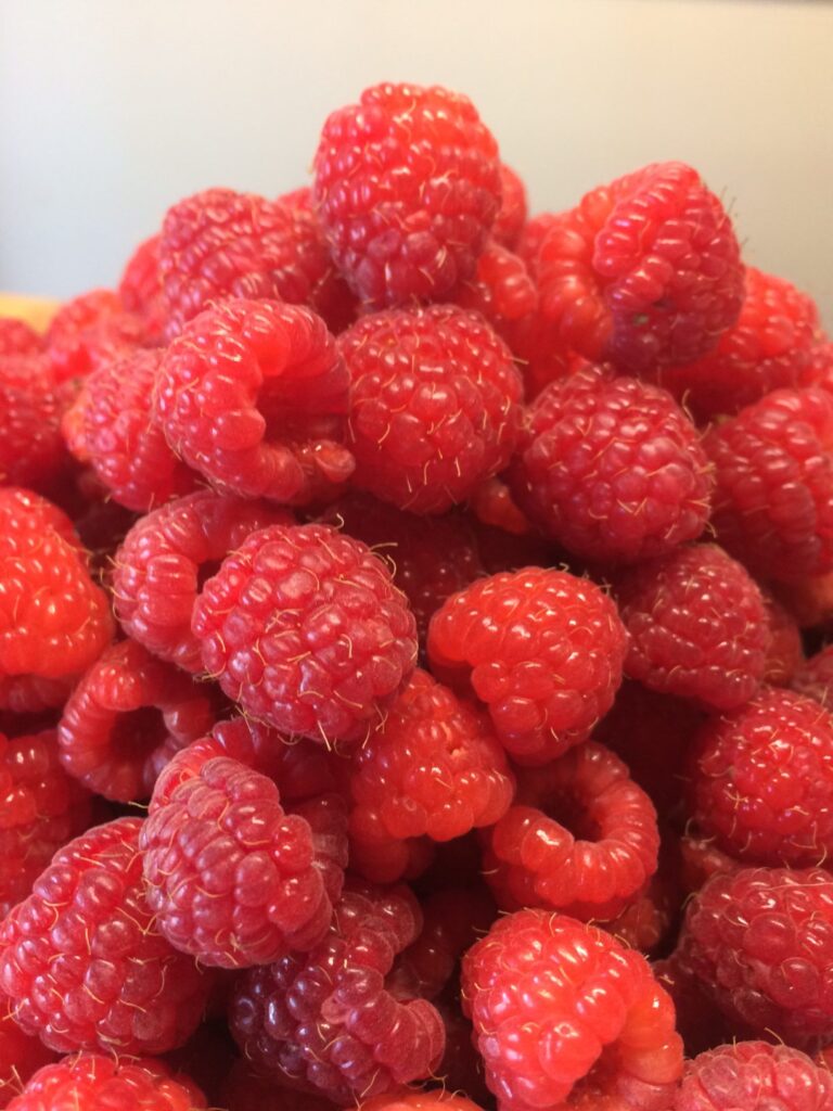 Pick Your Own Raspberries