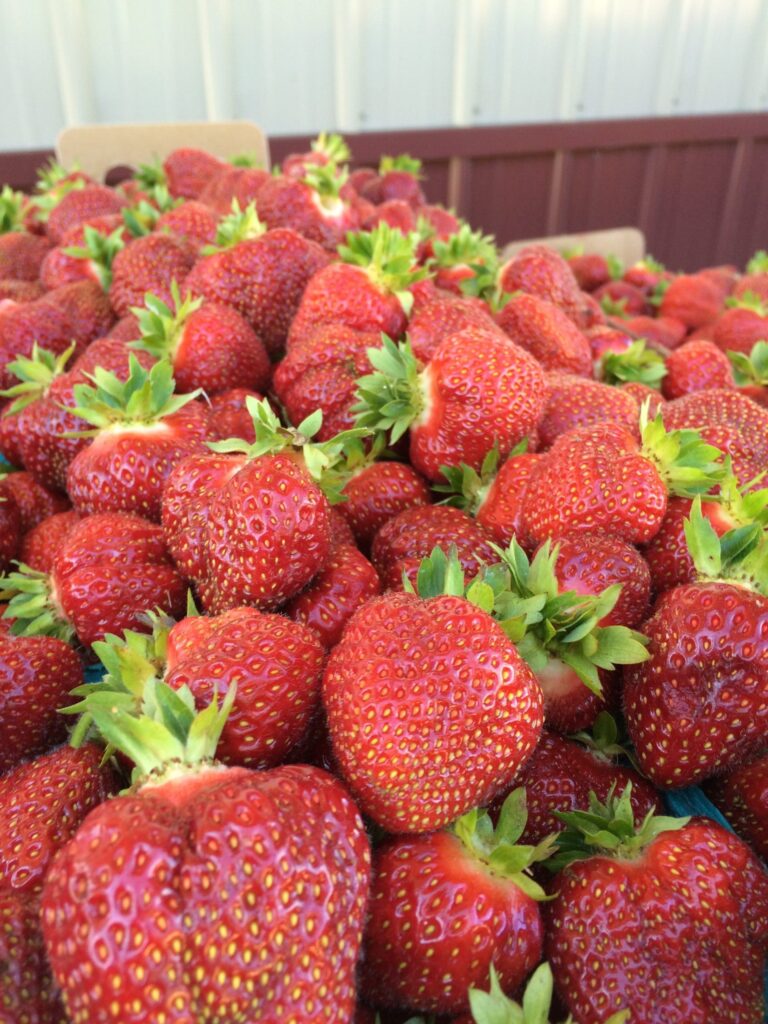 Picked Strawberries