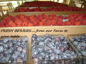 raspberries and blueberries