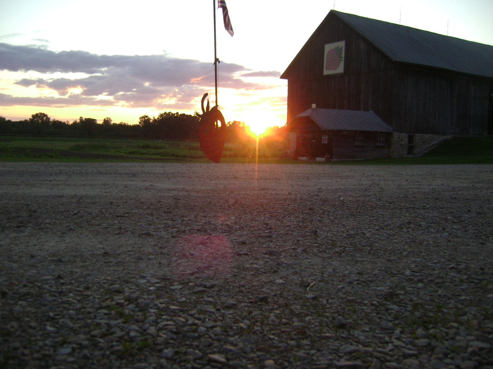 sunset on farm