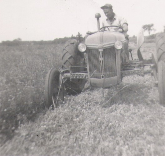 Working the Land, 1951