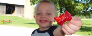 boy with strawberry